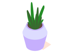 Image d’une plante en pot
