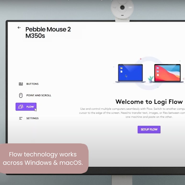 Multi-Device Control with Pebble Mouse 2 M350s & Flow