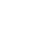 icon-dual-audio