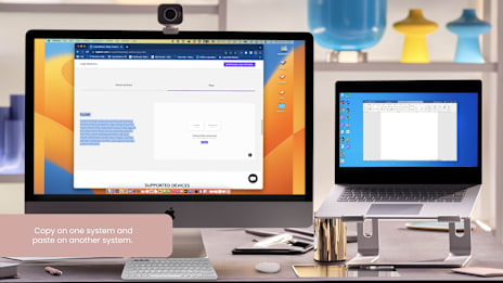 How to set up Flow in Logi Options+ with Pebble Mouse 2 M350s
