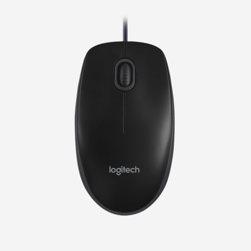 souris b100