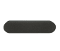 Rally Speaker